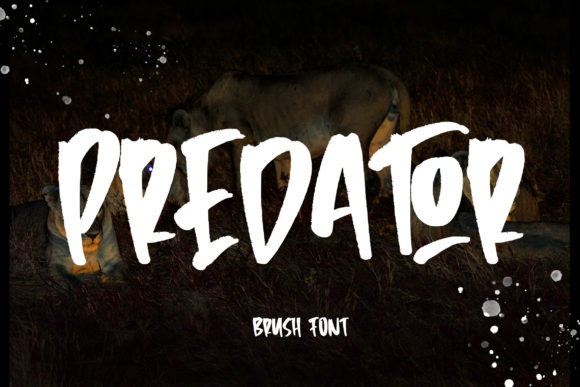 Predator Font: Evaluating the Visual Impact of a Brushed Display Typeface