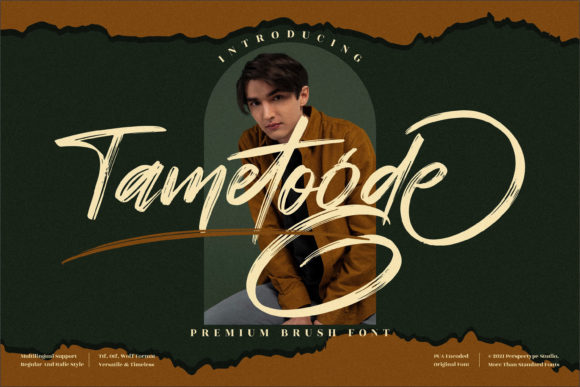 Tametogde: Strategic Typography for High-Impact Visual Communication