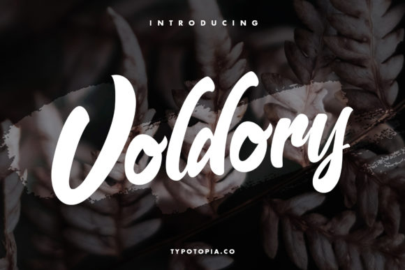 Voldory Font: Evaluating the Balance of Chic Script and Practical Design